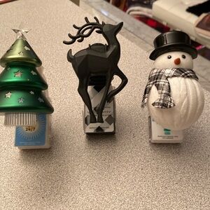 Bundles Christmas wallflowers